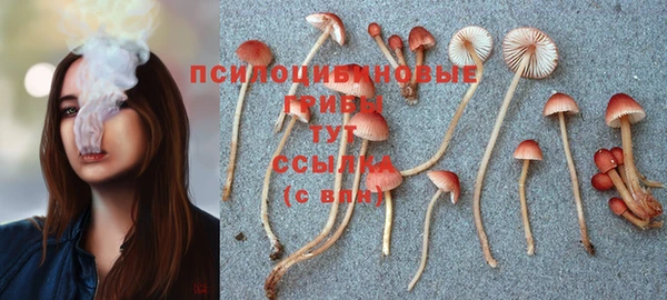 мет Аркадак