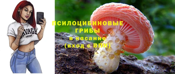 мдпв Армянск